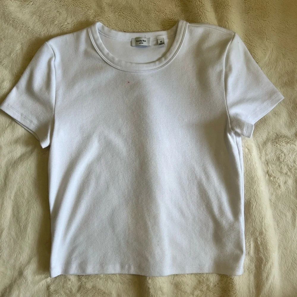 Aritzia Sunday Best White Little Ribbed T-shirt - Picture 2 of 4